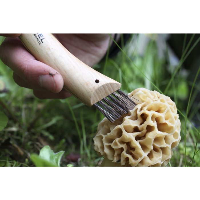 Opinel Tradition Cuisine Folding Knife - N08 Mushroom
